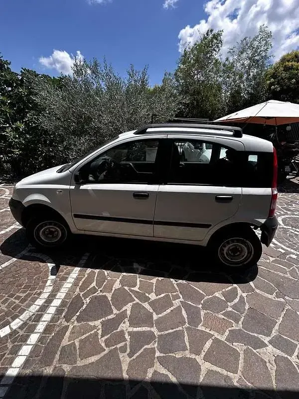 Usata Fiat Panda 4x4 60 CV (44 kW) 2007 Utilitaria
