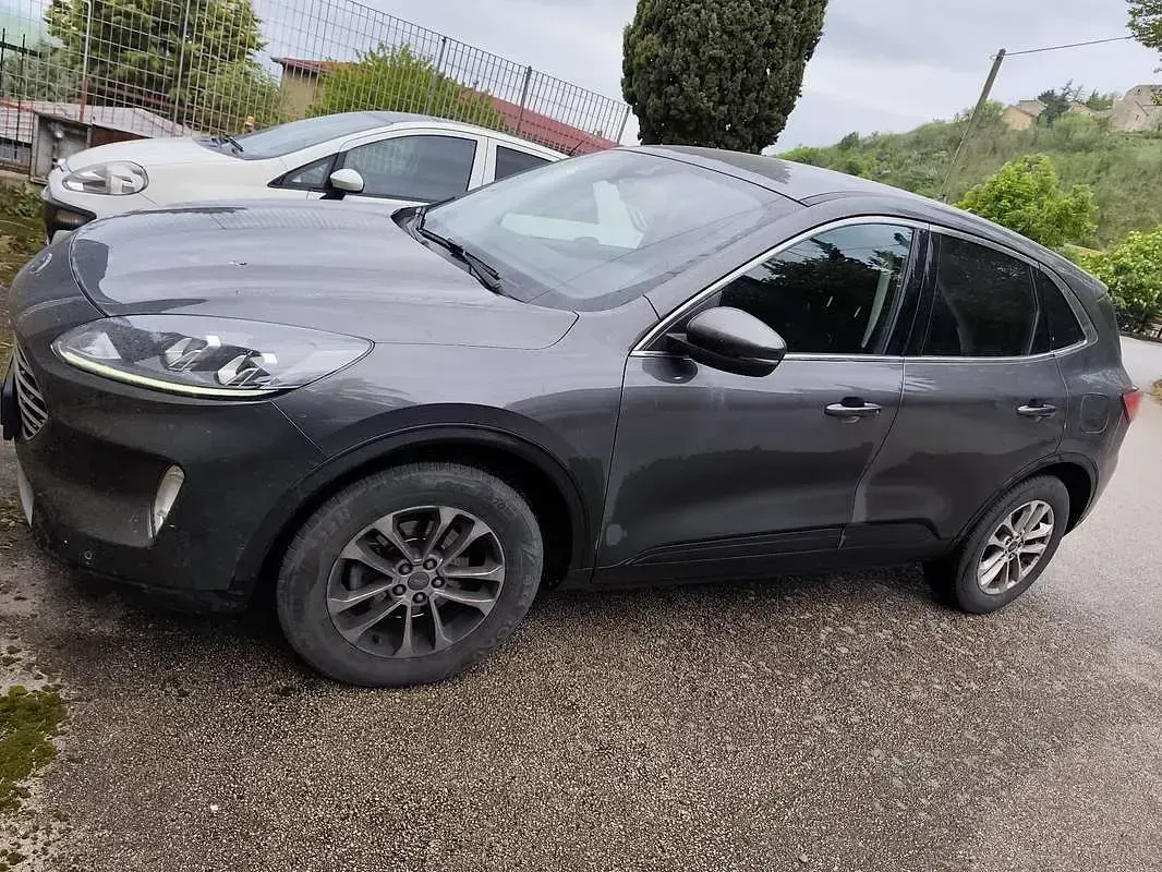 Usata Ford Kuga Titanium 120 CV (88 kW) 2020 SUV