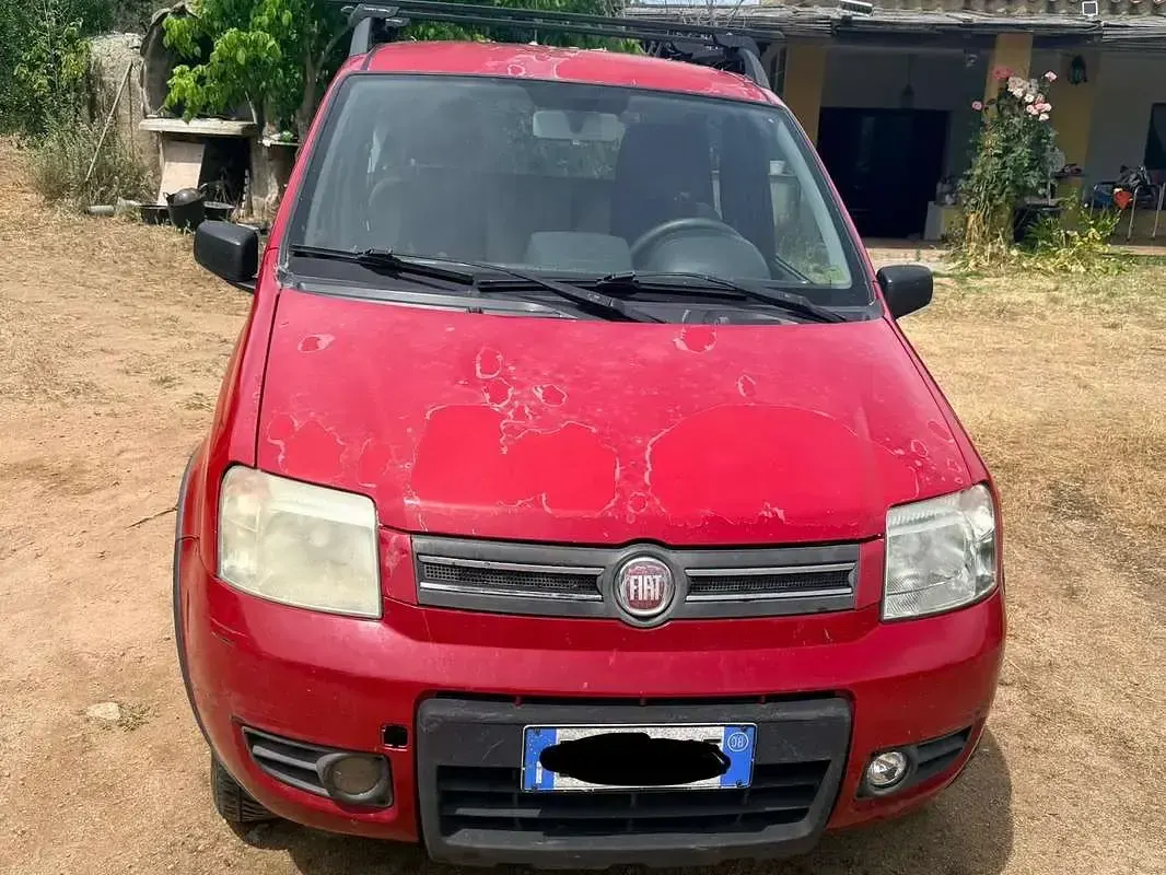 Usata Fiat Panda 4x4 60 CV (44 kW) 2008 Rosso Utilitaria