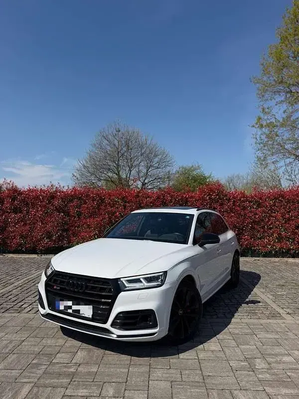 Usata Audi SQ5 340 CV (250 kW) 2019 SUV