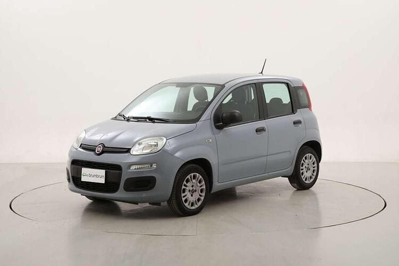 Usata Fiat Panda Easy 69 CV (50 kW) 2020 Grigio Utilitaria