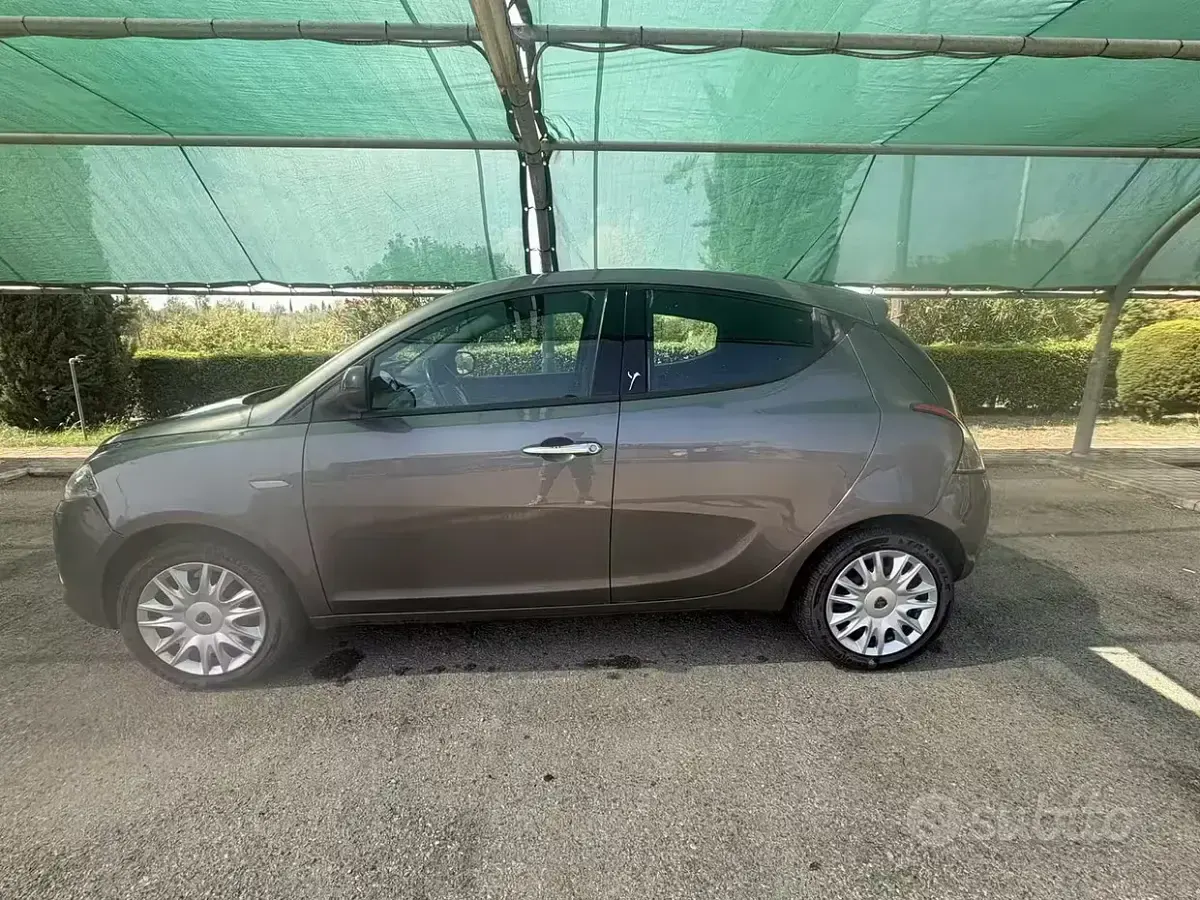 Usata Lancia Ypsilon Silver 69 CV (50 kW) 2017 Grigio Utilitaria