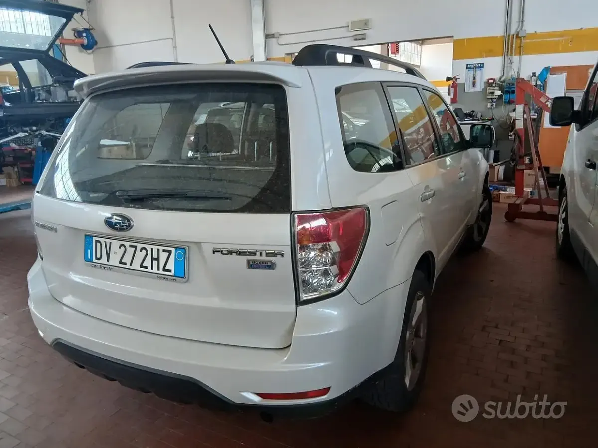 Usata Subaru Forester Trend 147 CV (108 kW) 2010 Bianco SUV
