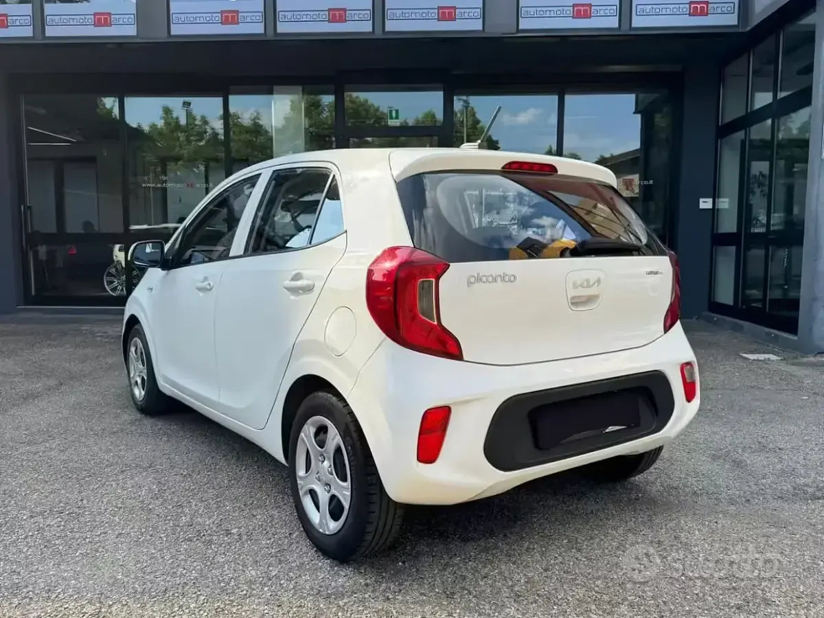 Usata Kia Picanto Urban 67 CV (49 kW) 2022 Bianco Utilitaria