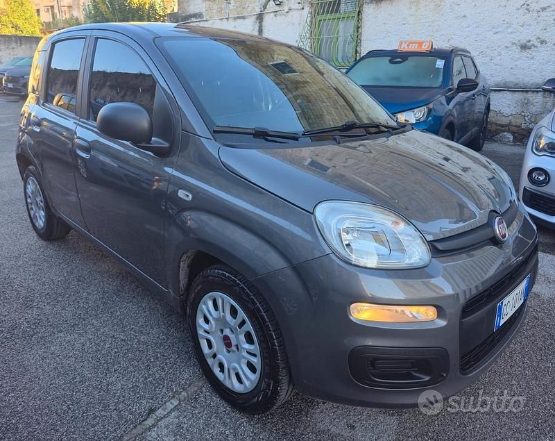 Usata Fiat Panda Easy 69 CV (50 kW) 2020 Grigio Utilitaria