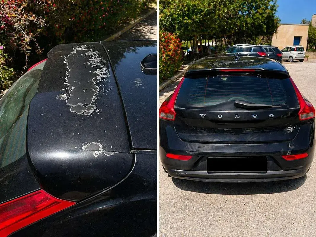 Usata Volvo V40 Inscription 120 CV (88 kW) 2016 Nero Berlina