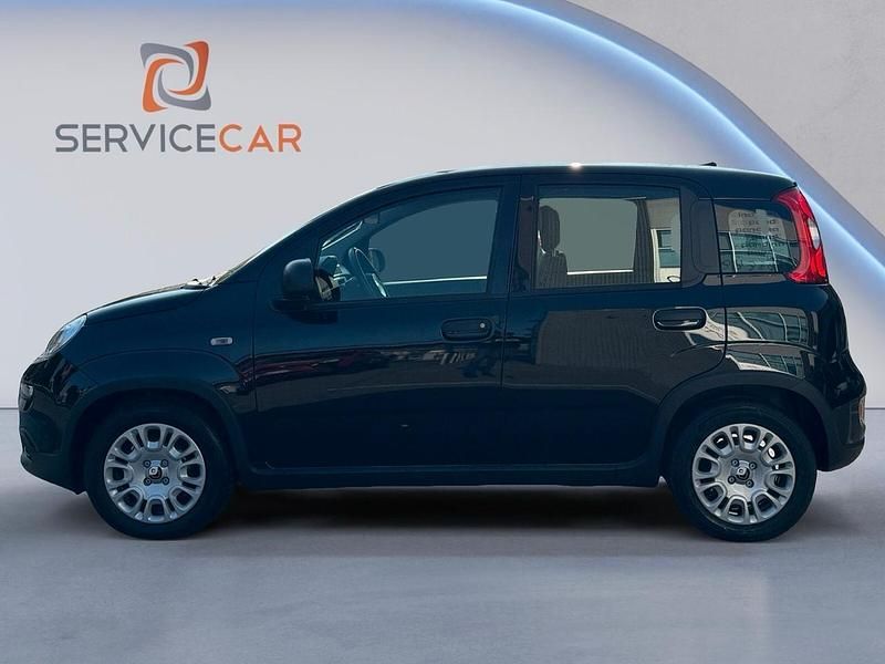 Usata Fiat Panda S 69 CV (50 kW) 2024 Nero Utilitaria