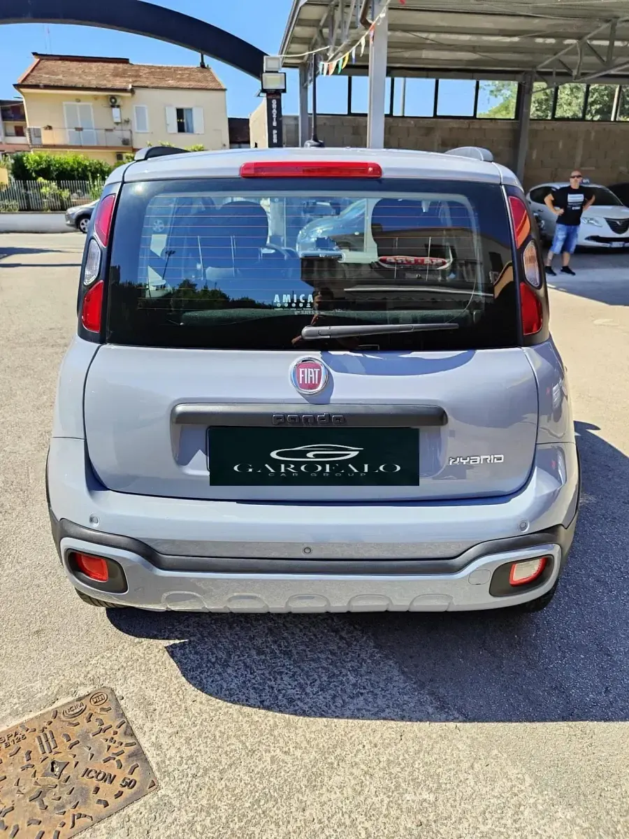 Usata Fiat Panda Launch Edition 69 CV (50 kW) 2020 Grigio Utilitaria