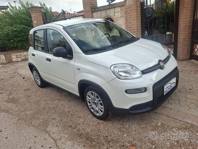 Usata Fiat Panda S 70 CV (51 kW) 2024 Bianco Utilitaria