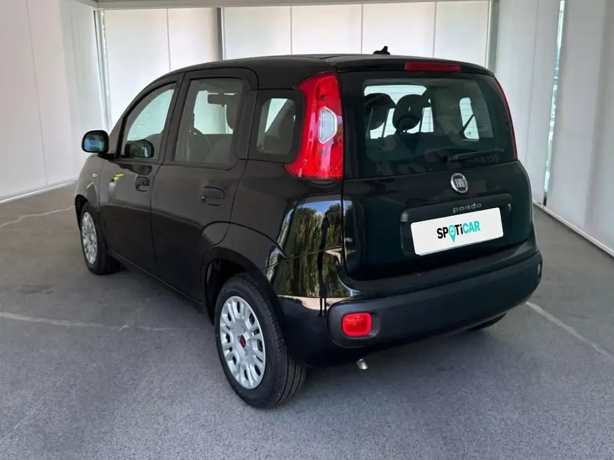 Usata Fiat Panda Easy 69 CV (50 kW) 2021 Nero Utilitaria