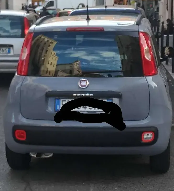 Usata Fiat Panda 4x4 S 95 CV (69 kW) 2017 Utilitaria