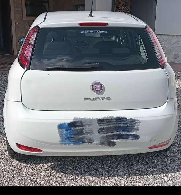 Usata Fiat Punto Lounge 69 CV (50 kW) 2013 Bianco Berlina