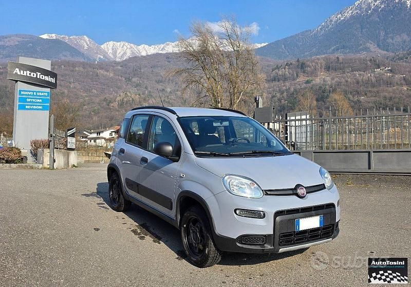 Usata Fiat Panda 4x4 S 84 CV (61 kW) 2019 Grigio Utilitaria