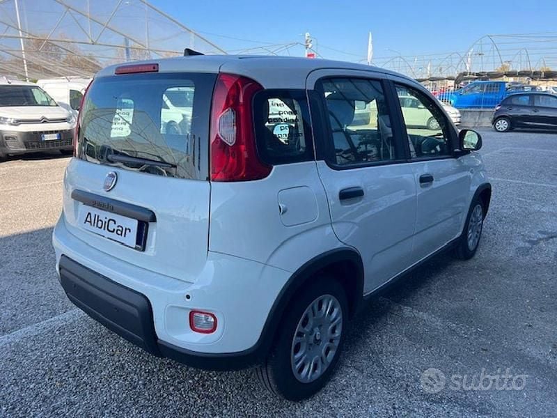 Usata Fiat Panda S 69 CV (50 kW) 2024 Bianco Utilitaria
