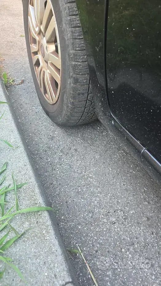 Usata Fiat Punto 105 CV (77 kW) 2014 Nero Utilitaria