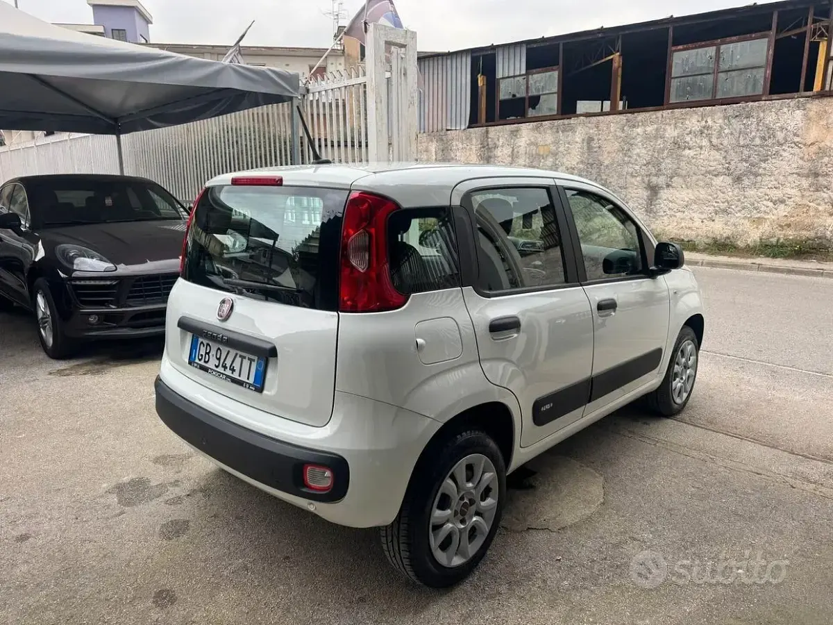 Usata Fiat Panda Lounge 85 CV (62 kW) 2020 Bianco Utilitaria