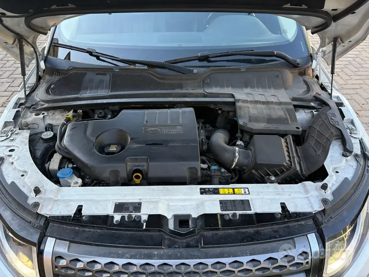 Usata Land Rover Range Rover evoque 150 CV (110 kW) 2016 Bianco SUV