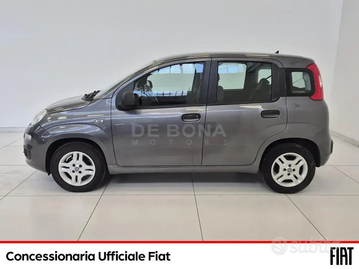 Usata Fiat Panda Easy 69 CV (50 kW) 2019 Grigio Utilitaria