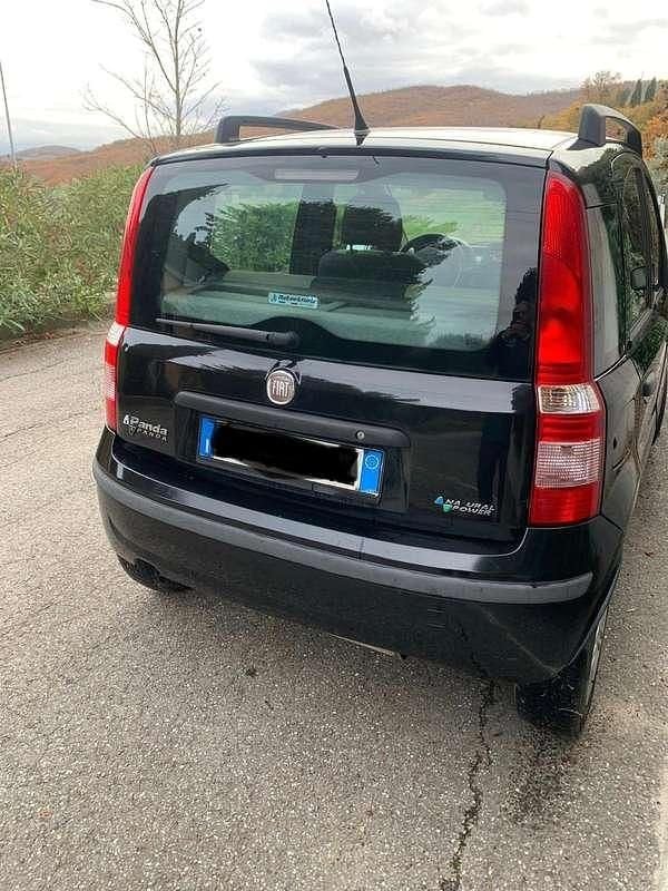 Usata Fiat Panda Dynamic 60 CV (44 kW) 2009 Nero Utilitaria