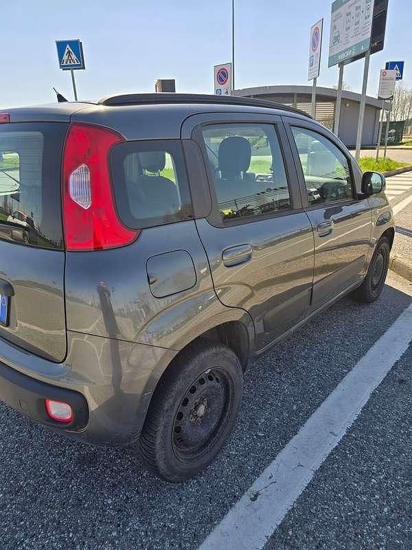 Usata Fiat Panda Lounge 80 CV (58 kW) 2017 Grigio Utilitaria
