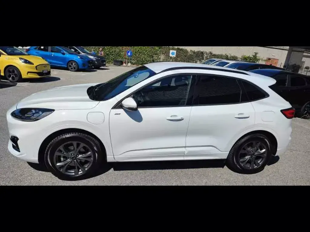 Usata Ford Kuga ST-Line X 225 CV (165 kW) 2023 Bianco SUV