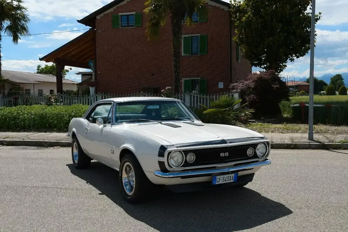 Usata Chevrolet Camaro SS 364 CV (267 kW) 1967 Bianco Coupé