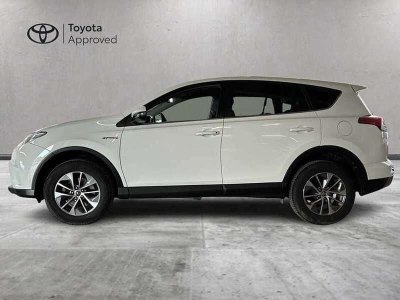 Usata Toyota RAV4 Hybrid Active 197 CV (144 kW) 2017 Bianco SUV