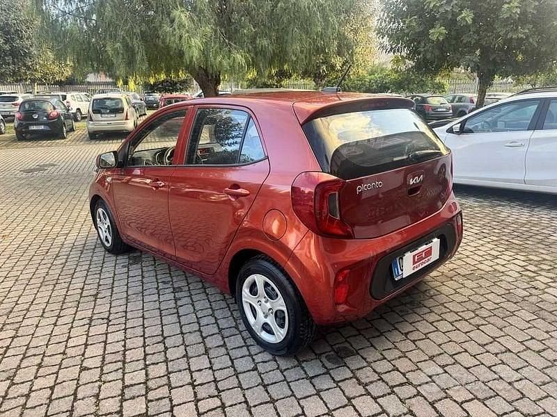 Usata Kia Picanto Urban 66 CV (48 kW) 2023 Arancione Utilitaria