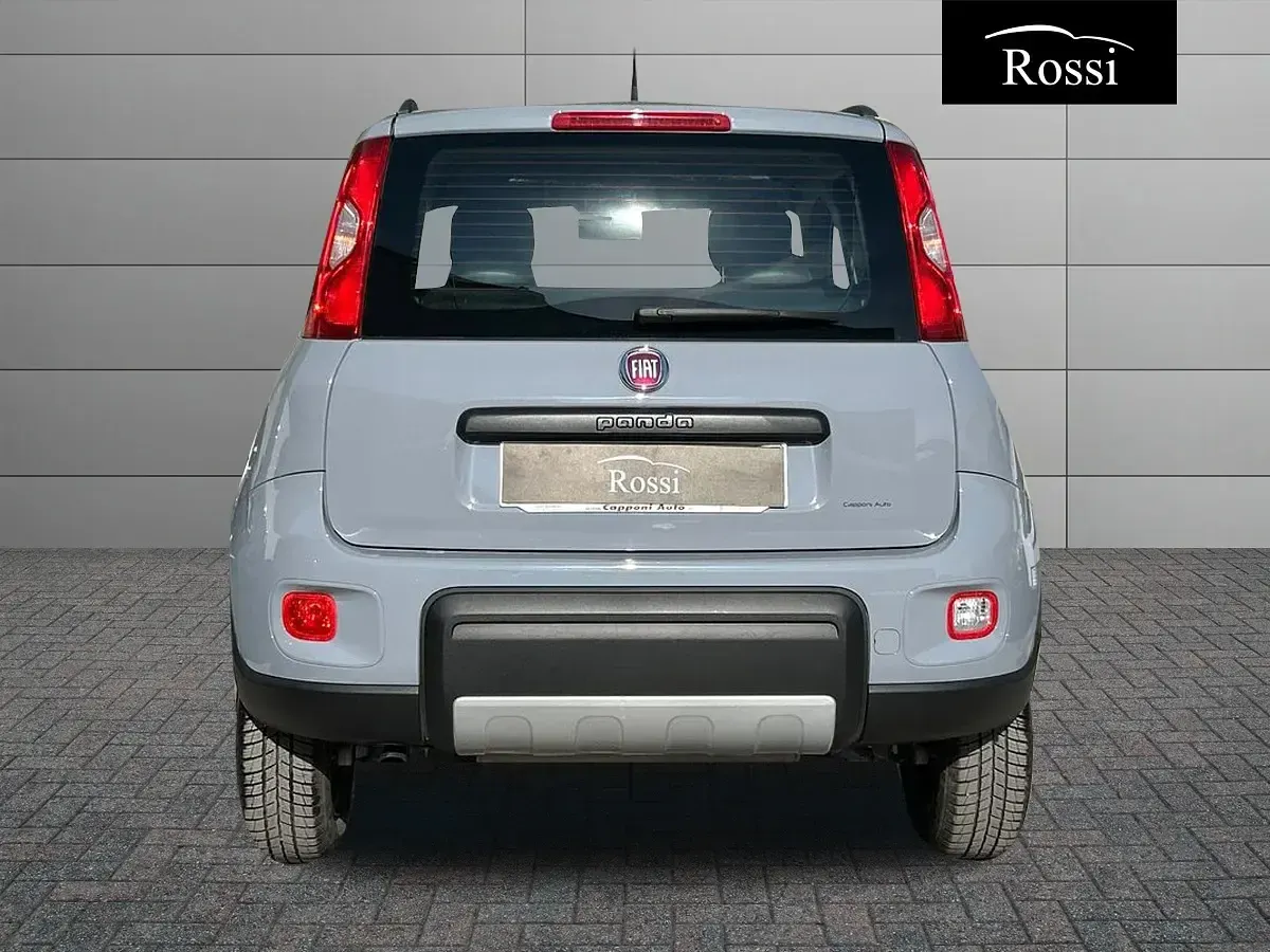 Usata Fiat Panda 4x4 S 86 CV (63 kW) 2019 Grigio Utilitaria