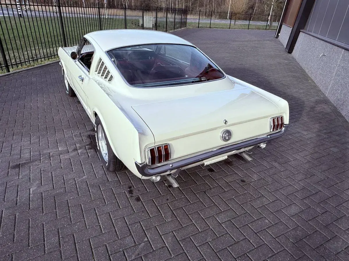 Usata Ford Mustang 275 CV (202 kW) 1966 Bianco Coupé