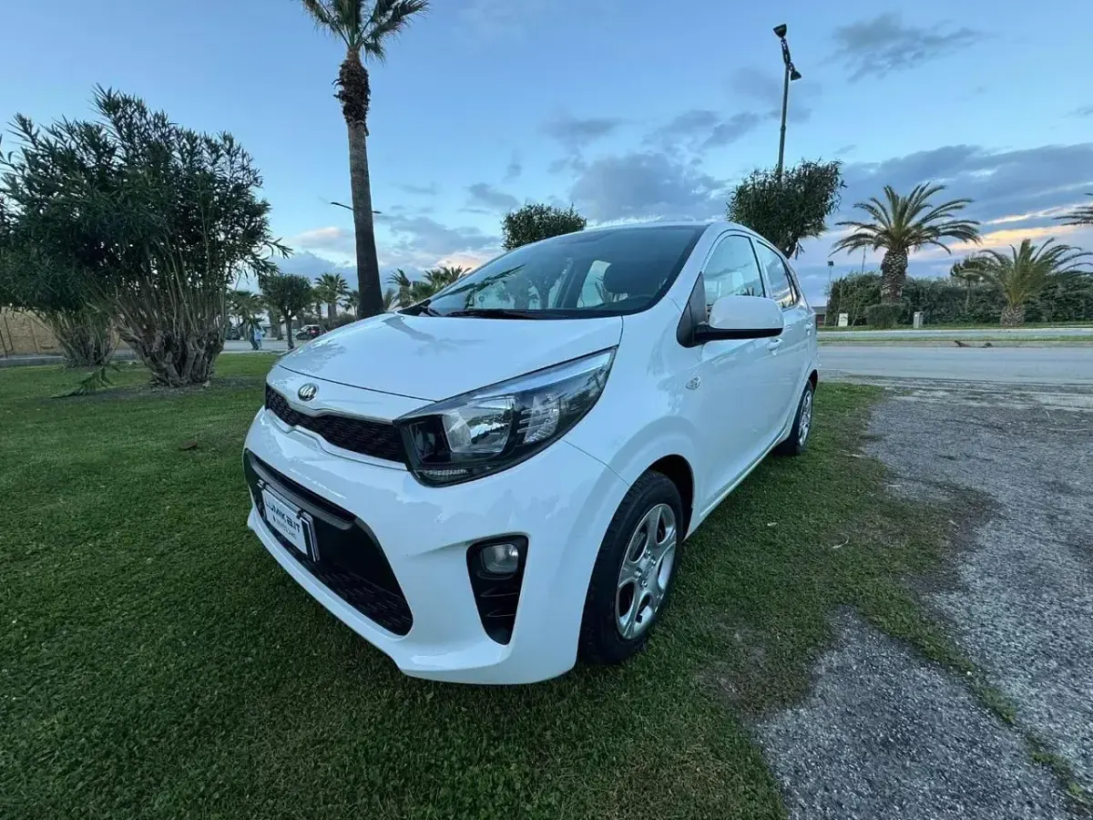 Usata Kia Picanto Active 66 CV (48 kW) 2019 Utilitaria