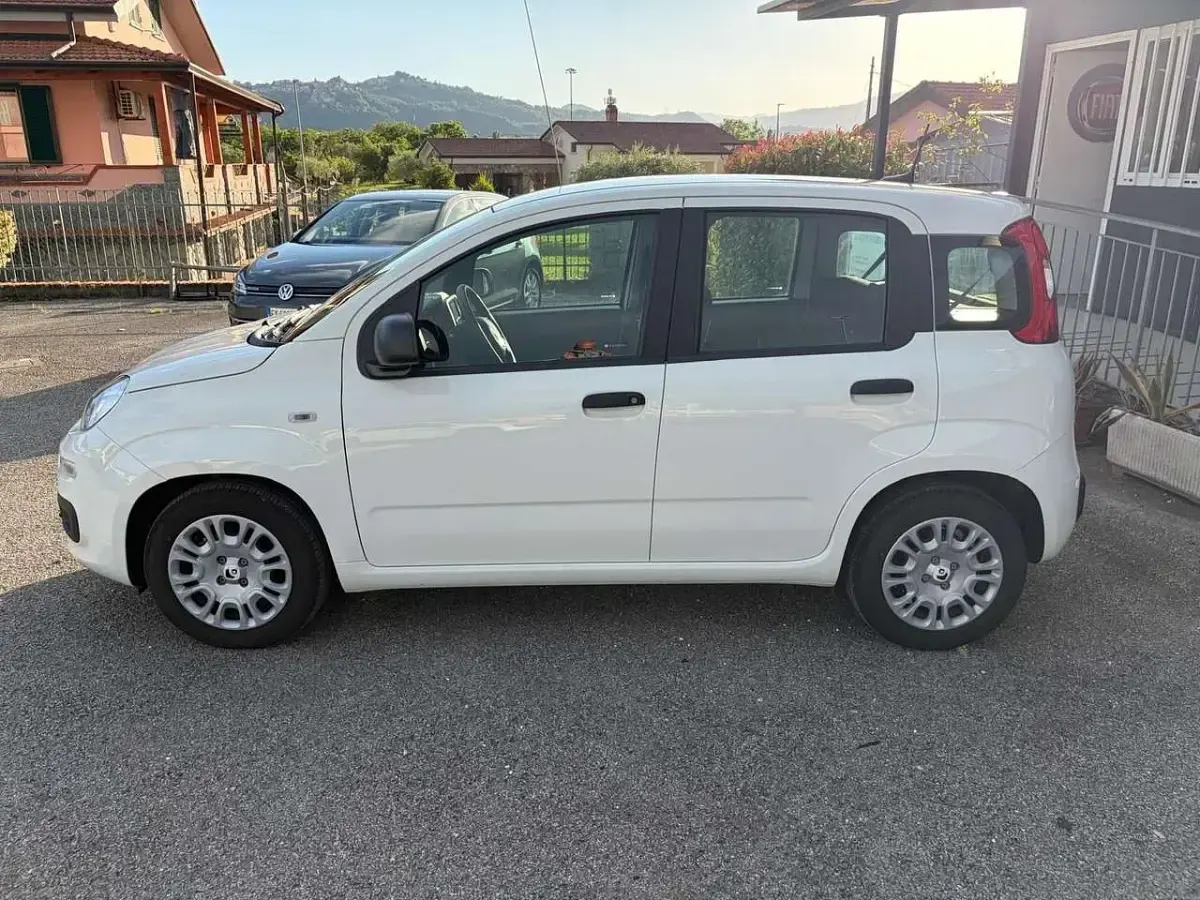 Usata Fiat Panda Icon 65 CV (47 kW) 2025 Bianco Utilitaria