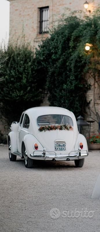 Usata VW Beetle 1960 Utilitaria