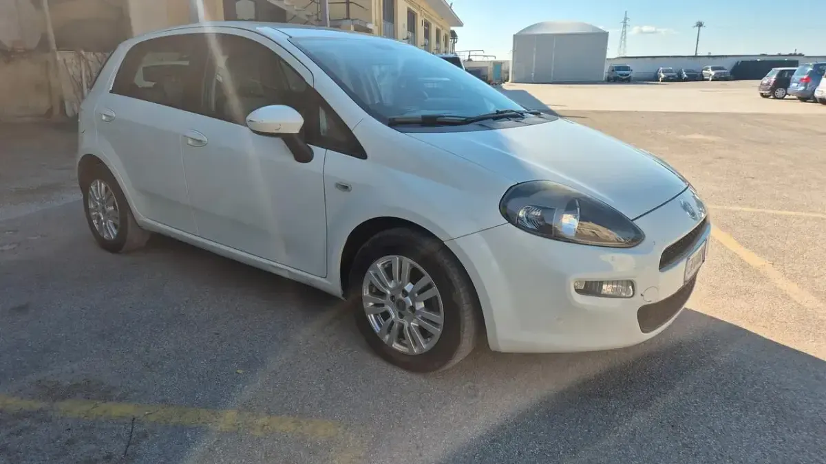 Usata Fiat Punto Lounge 95 CV (69 kW) 2012 Bianco Utilitaria
