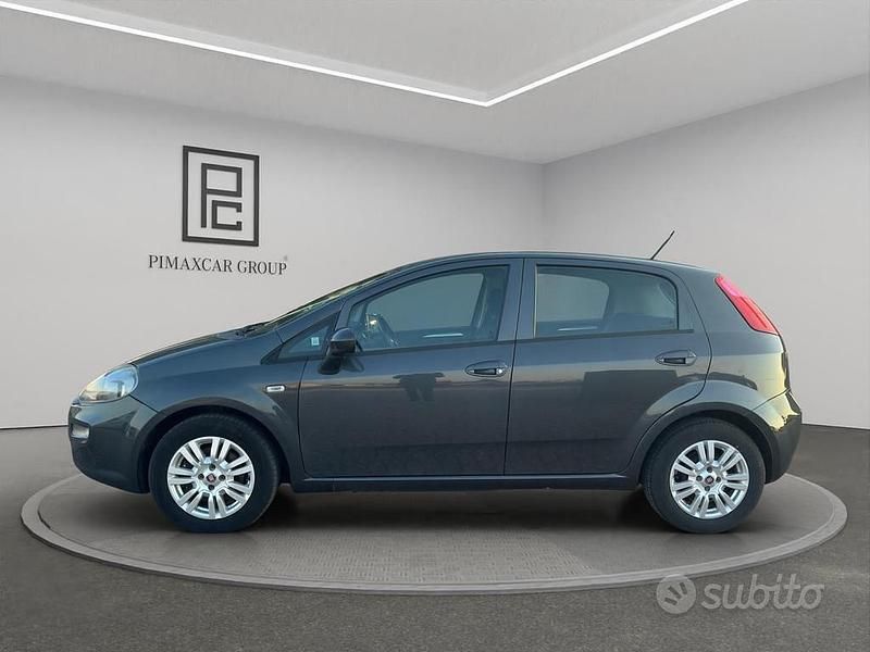 Usata Fiat Punto Lounge 95 CV (69 kW) 2017 Grigio Utilitaria