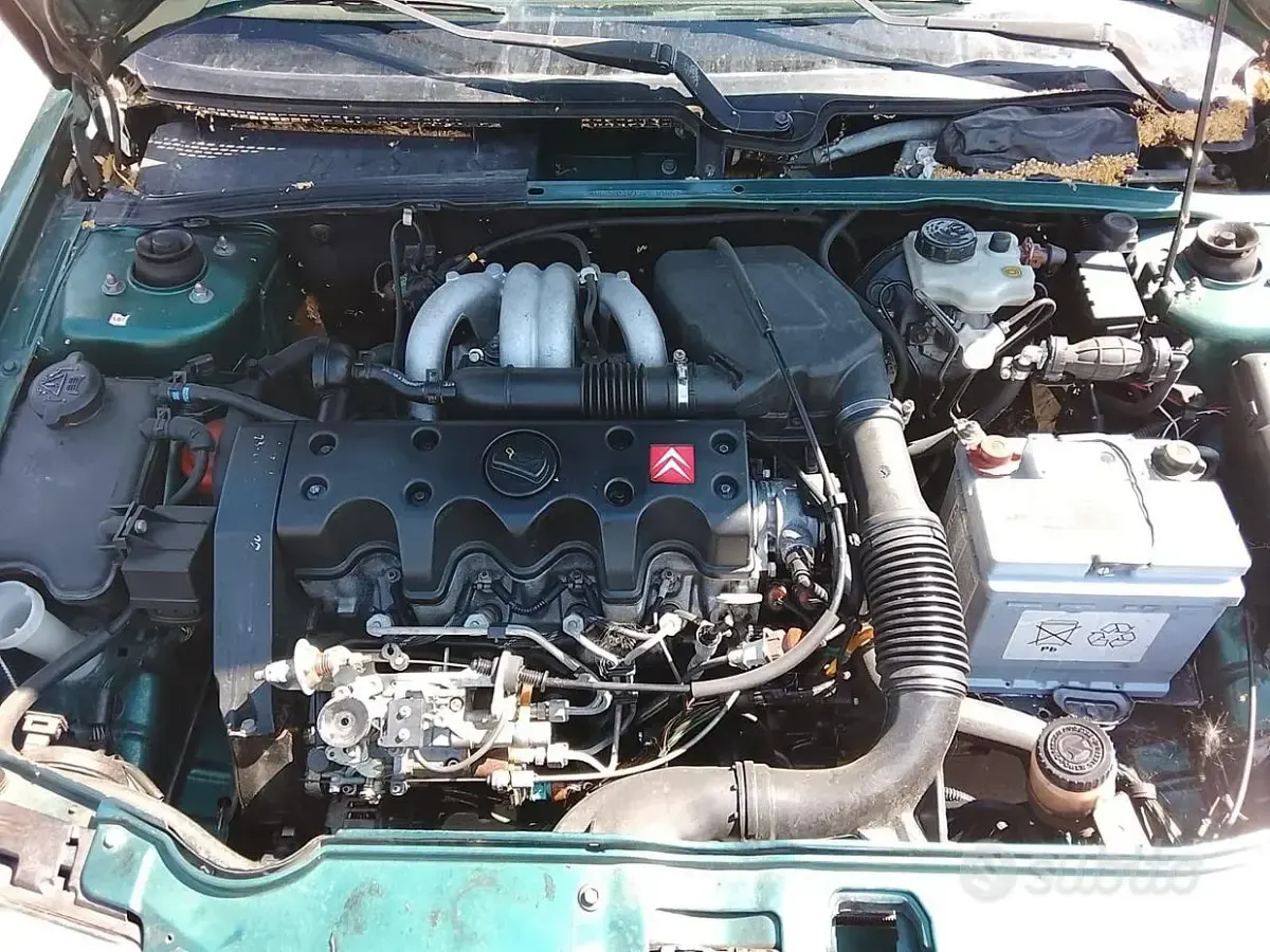 Usata Citroën Saxo 57 CV (41 kW) 1997 Verde Utilitaria