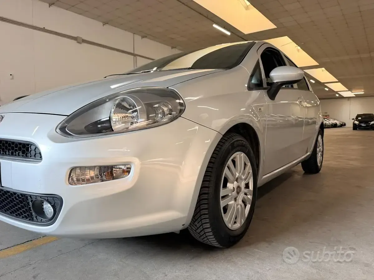 Usata Fiat Punto Lounge 95 CV (69 kW) 2016 Grigio Utilitaria