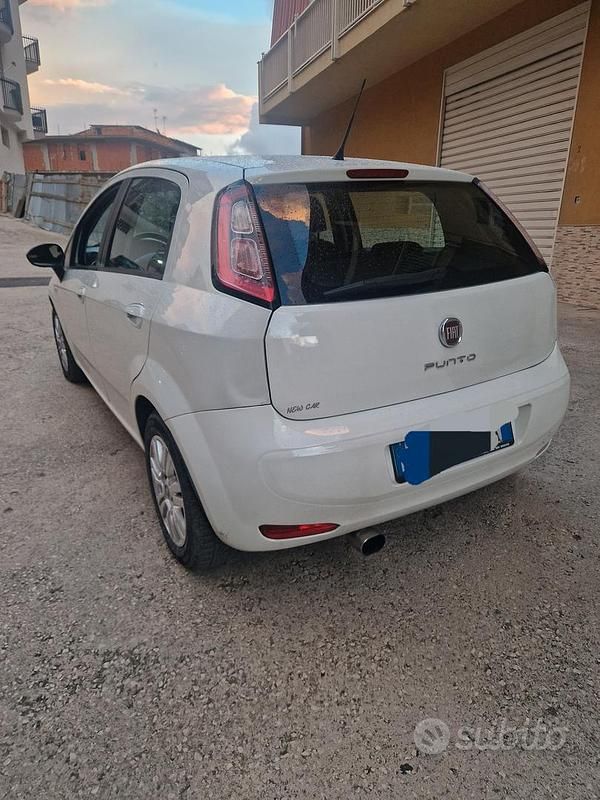 Usata Fiat Punto 75 CV (55 kW) 2014 Utilitaria