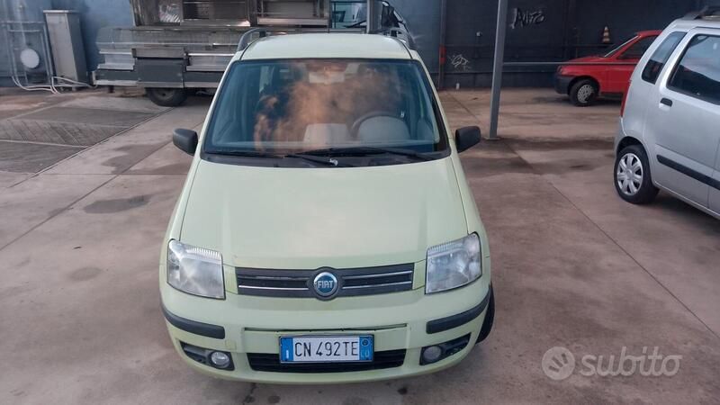 Usata Fiat Panda Emotion 69 CV (50 kW) 2005 Verde Utilitaria