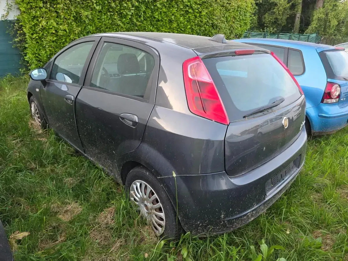 Usata Fiat Punto Evo Active 95 CV (69 kW) 2010 Nero Utilitaria