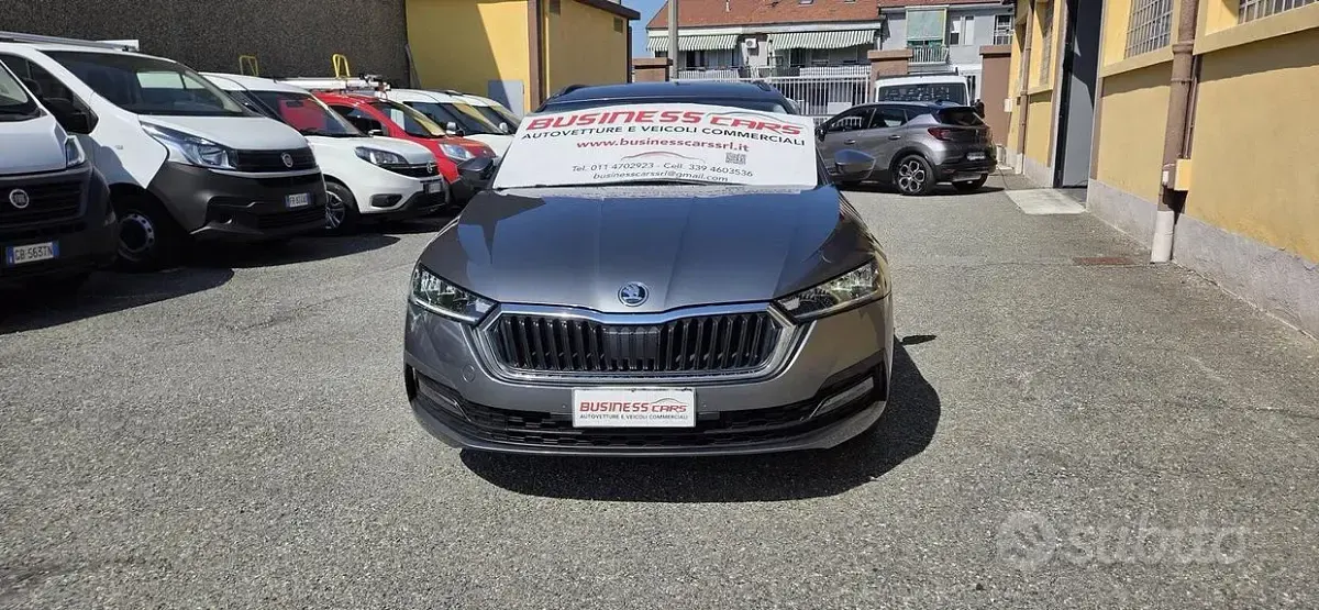 Usata Skoda Octavia Ambition 116 CV (85 kW) 2023 Grigio Berlina
