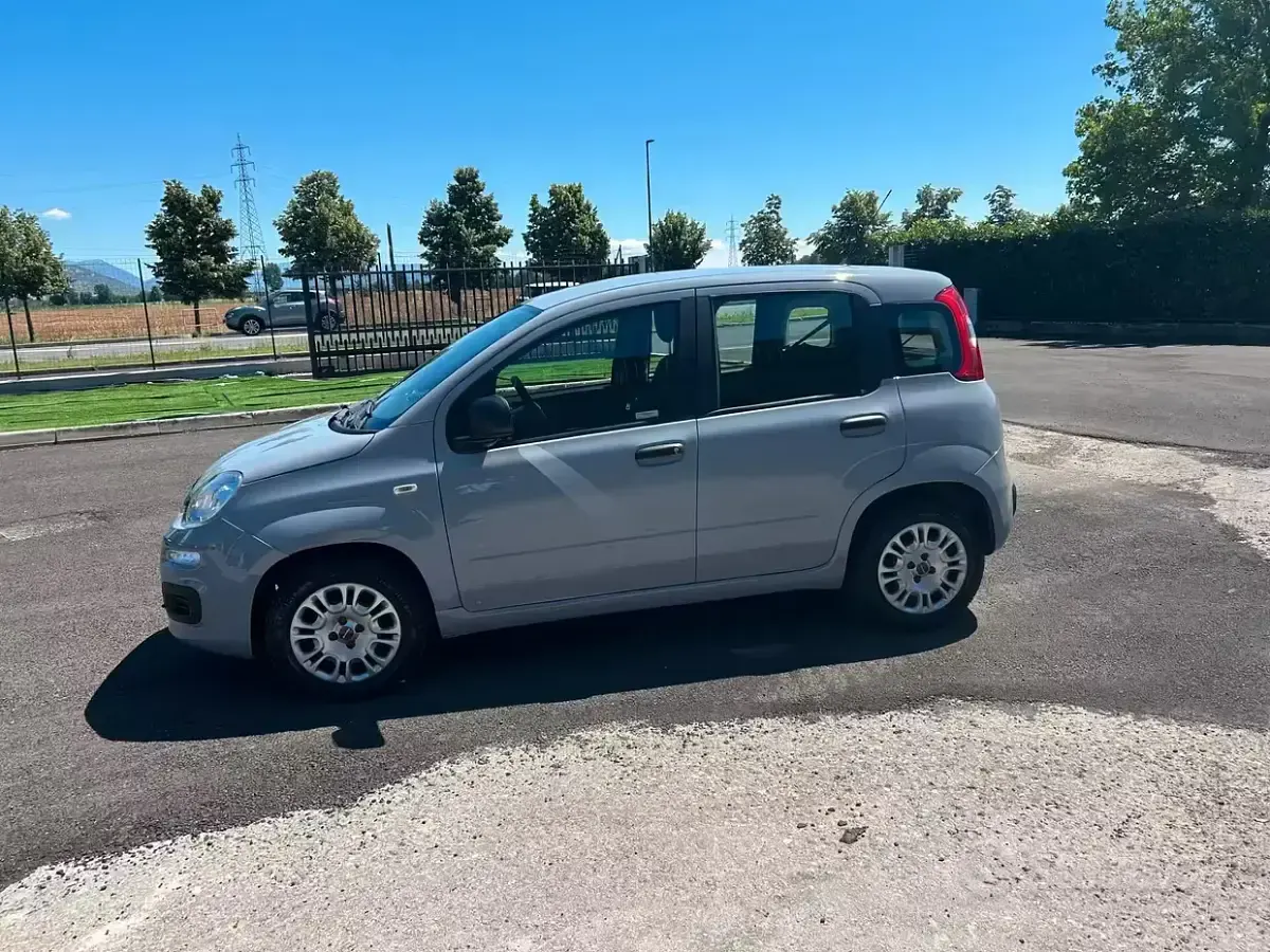 Usata Fiat Panda 69 CV (50 kW) 2019 Grigio Utilitaria