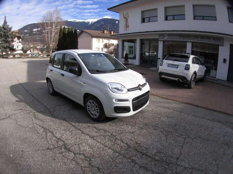 Nuova Fiat Panda Icon 69 CV (50 kW) 2025 Bianco Utilitaria