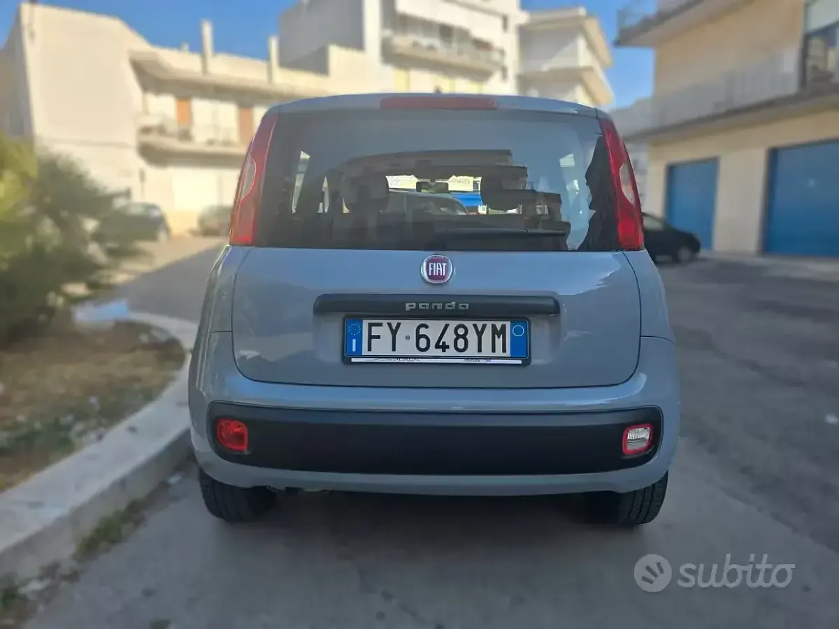 Usata Fiat Panda Easy 69 CV (50 kW) 2019 Grigio Utilitaria