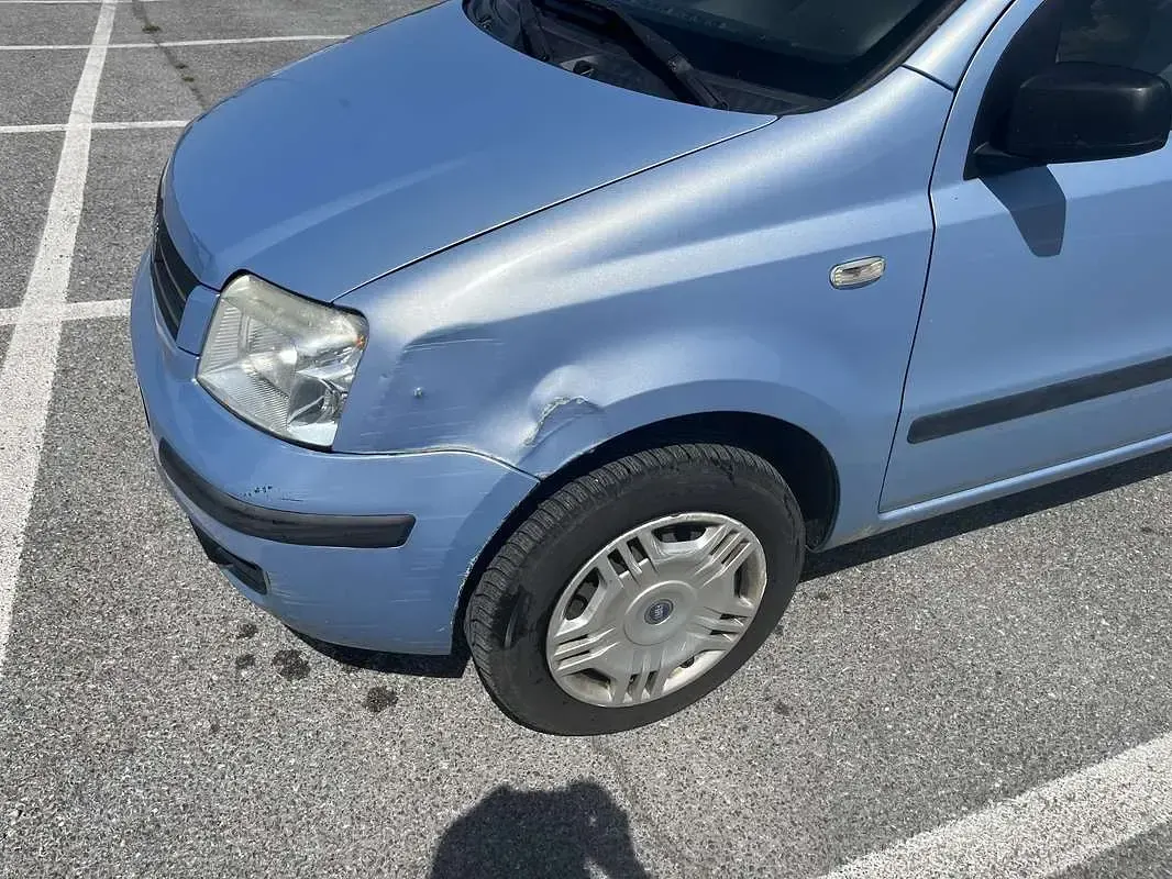 Usata Fiat Panda Dynamic 60 CV (44 kW) 2007 Utilitaria