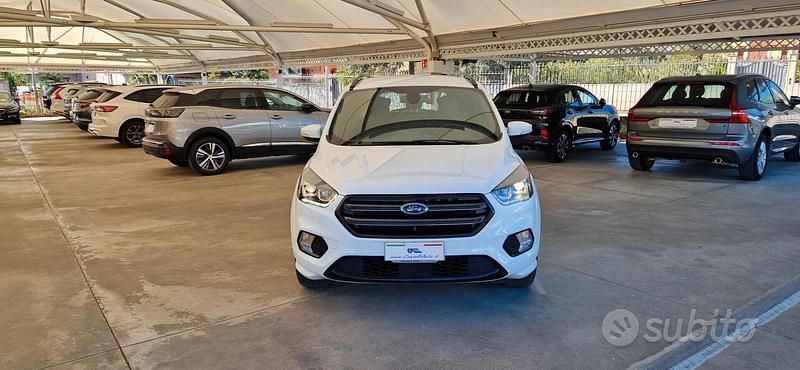 Usata Ford Kuga ST-Line X 120 CV (88 kW) 2019 Bianco SUV