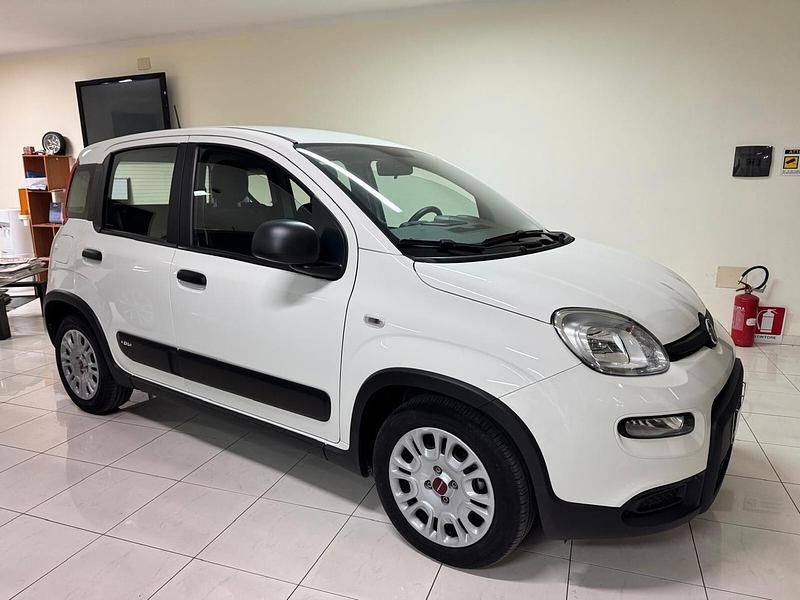 Usata Fiat Panda S 70 CV (51 kW) 2024 Bianco Utilitaria