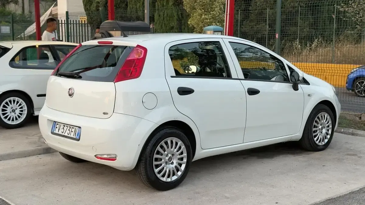 Usata Fiat Punto S 95 CV (69 kW) 2019 Bianco Furgone