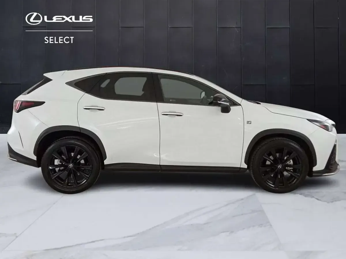 Usata Lexus NX350h Sport Line 190 CV (139 kW) 2024 Bianco SUV