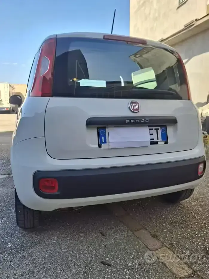 Usata Fiat Panda 69 CV (50 kW) 2020 Bianco Utilitaria